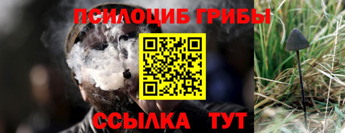 Орёл  Галлюциногенные грибы MAGIC MUSHROOMS  Вход с VPN  Галлюциногенные грибы мицелий 