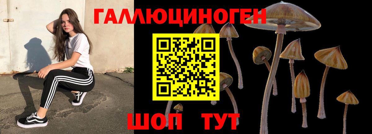 Псилоцибиновые грибы Psilocybine cubensis Орёл