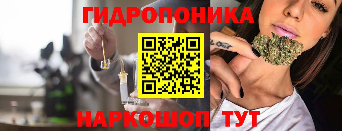 Конопля конопля  Марихуана ГИДРОПОН  МАРИХУАНА индика  Орёл  Вход с VPN 